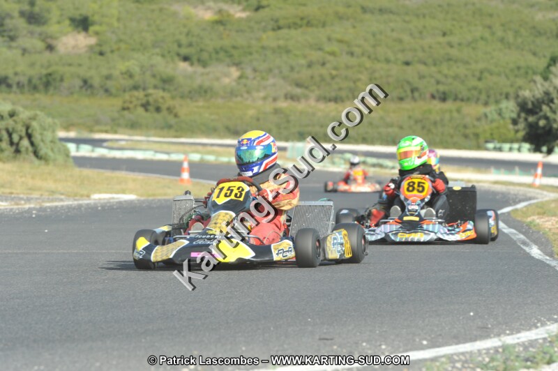 DSC (4064).JPG